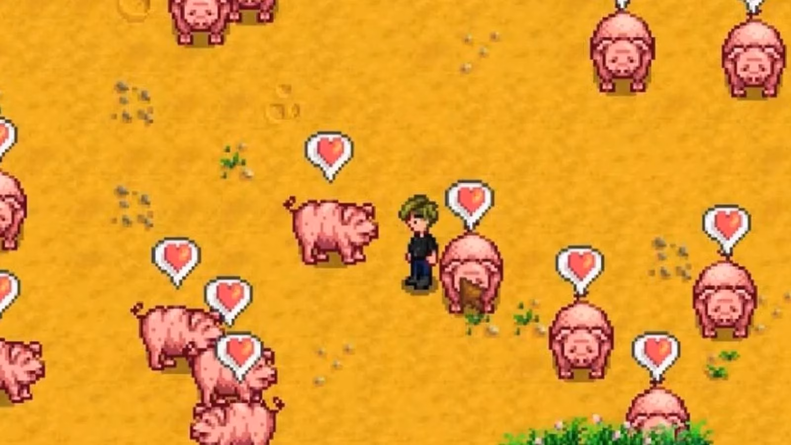 i-came-home-to-70-truffles-in-stardew-valley-and-it-was-glorious-image-0