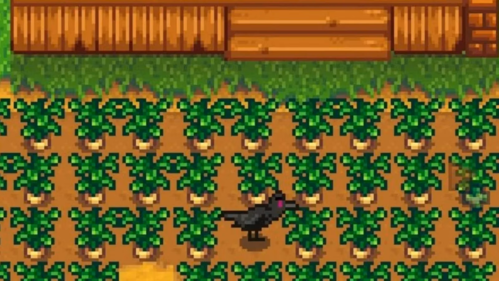 stardew-valley-scarecrows-i-lost-99-artichokes-to-one-crow-don-t-be-me-image-0