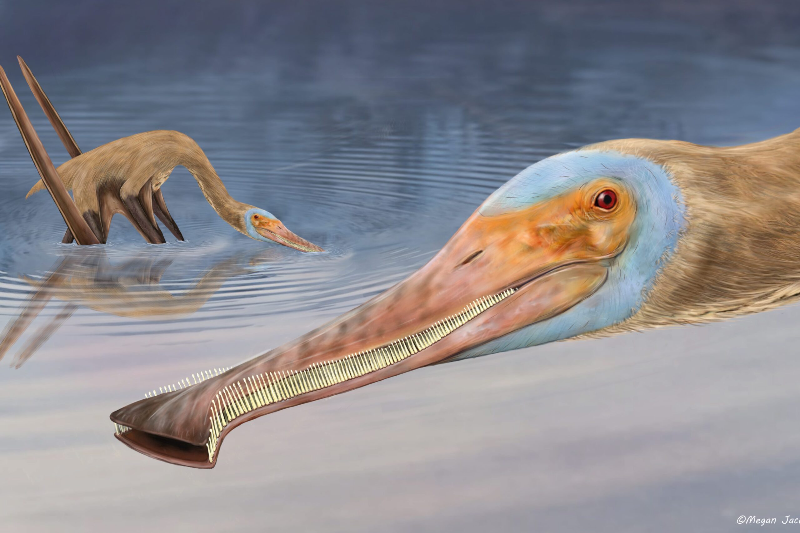 Jurassic-era Fish Fossil Found in Germany